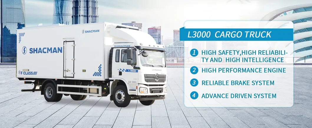 Shacman Truck Overview