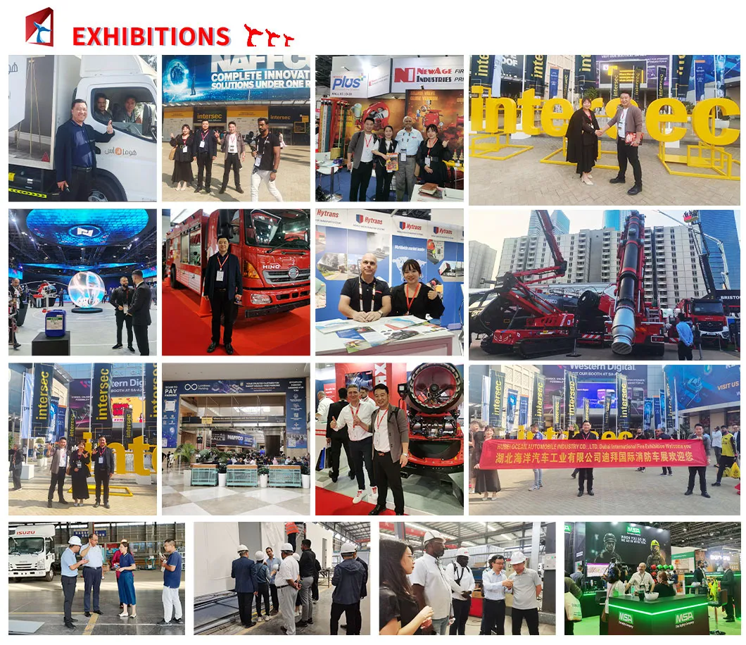 International Exhibitions
