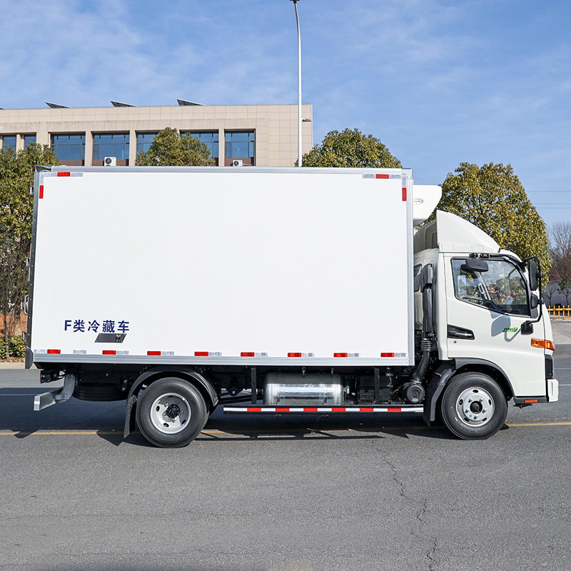 JAC Sinotruk Shacman Freezer Van Refrigerated Box Cargo Truck for Food Transport
