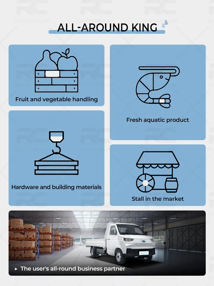 Karry Van Cargo View 4