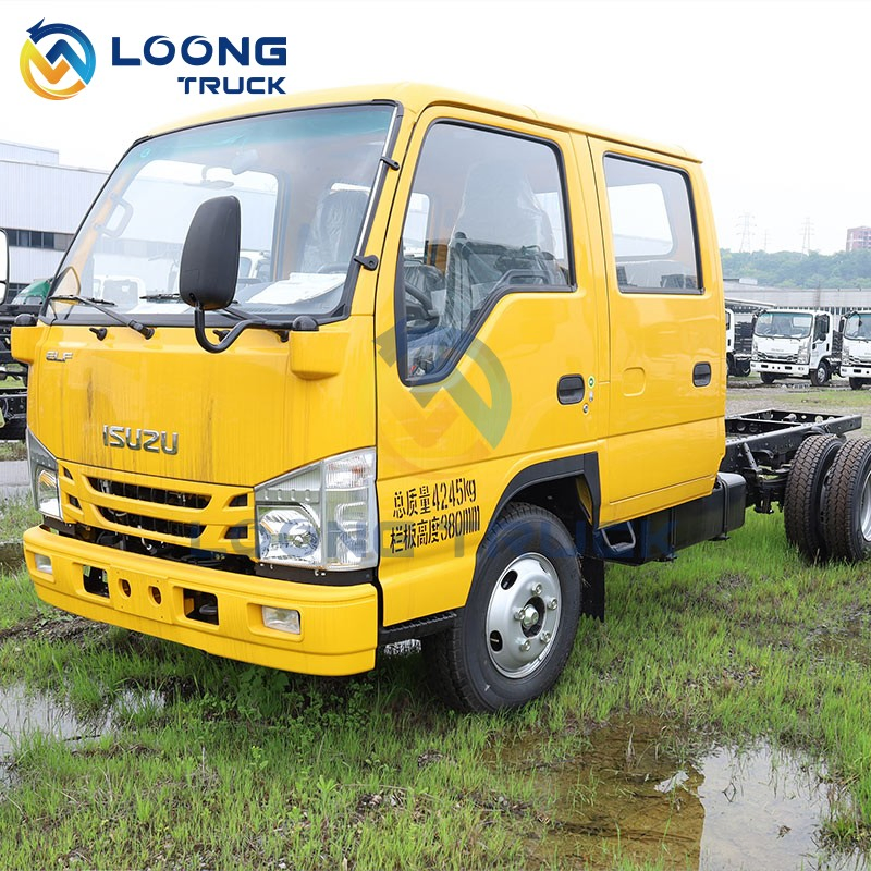 Qingling 100p Double Cabin Versatile Cargo Truck for Urban Deliveries