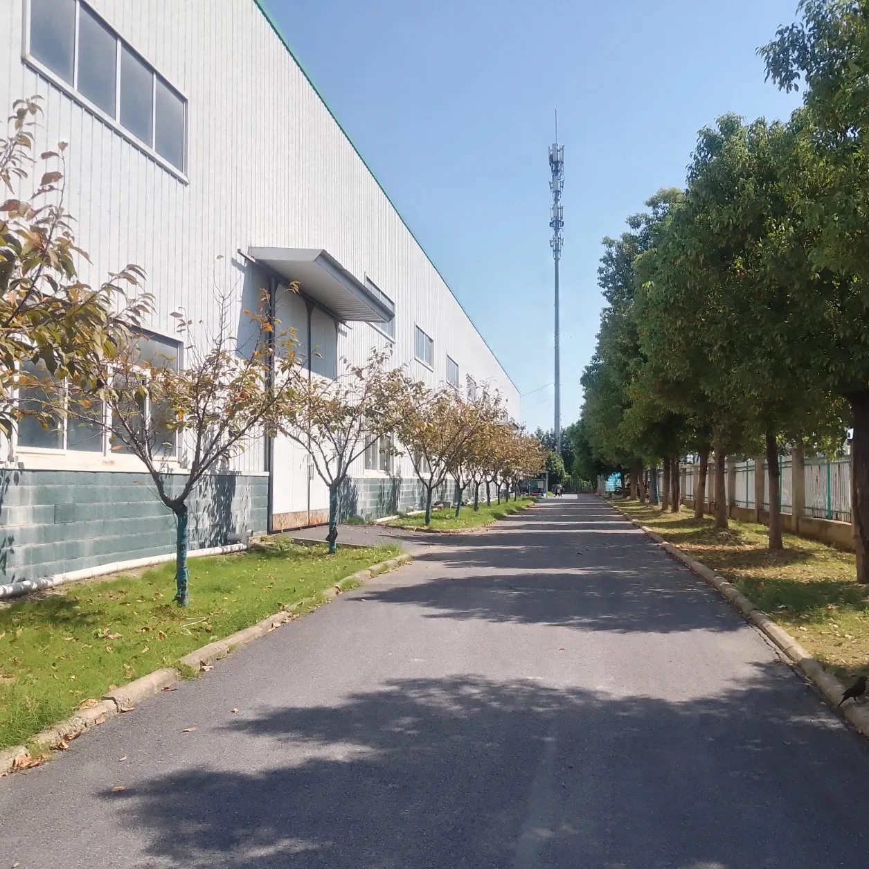 Faróis de Neblina à Prova d'Água IP67 Avaliados