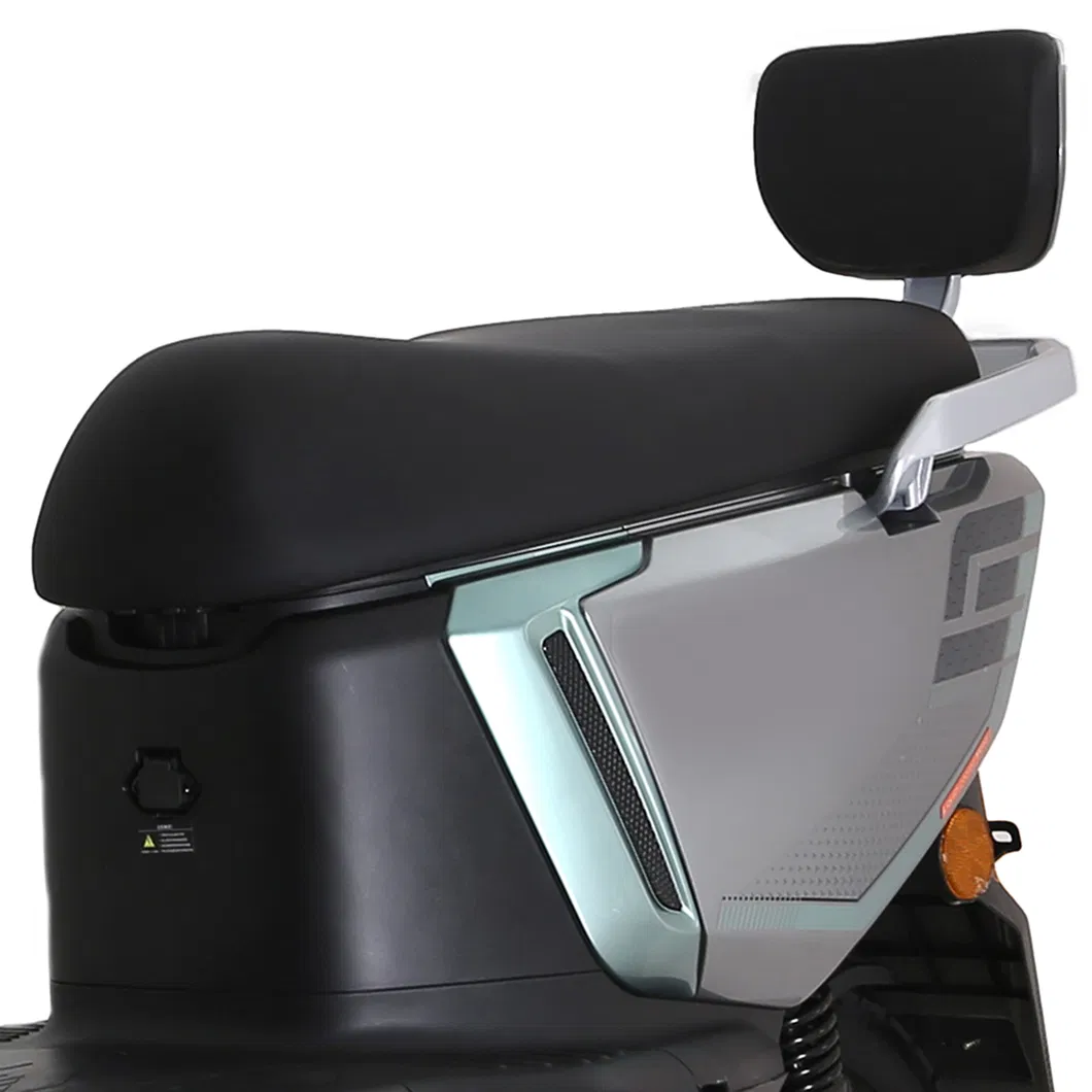 Detalhe MS31