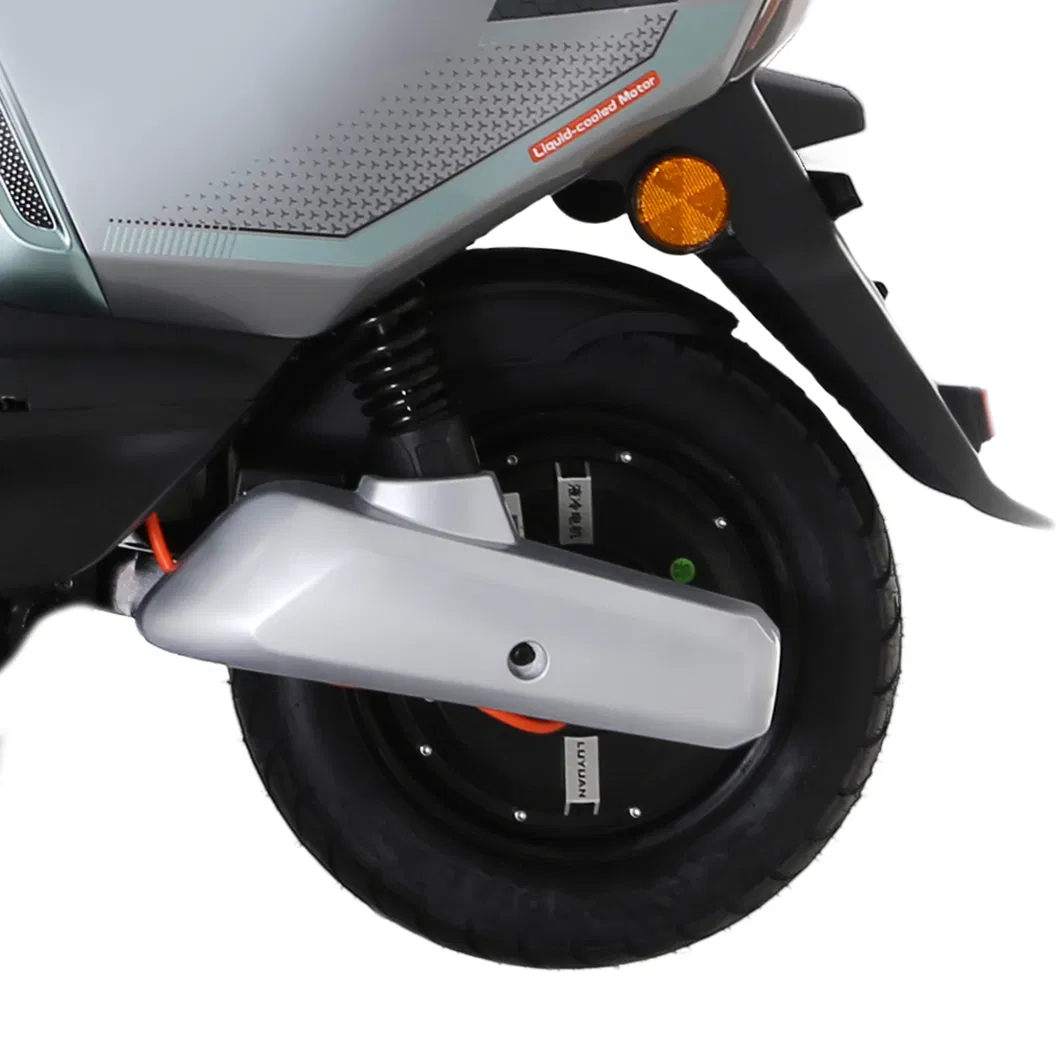 Detalhe MS31