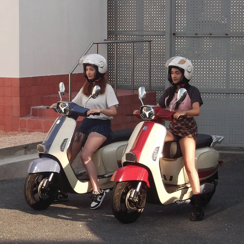 Modelo Alternativo