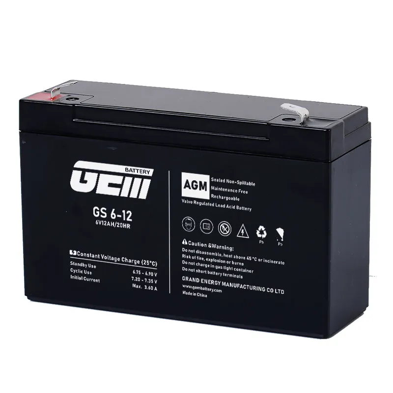 Detalhes da Bateria GS 6V12ah