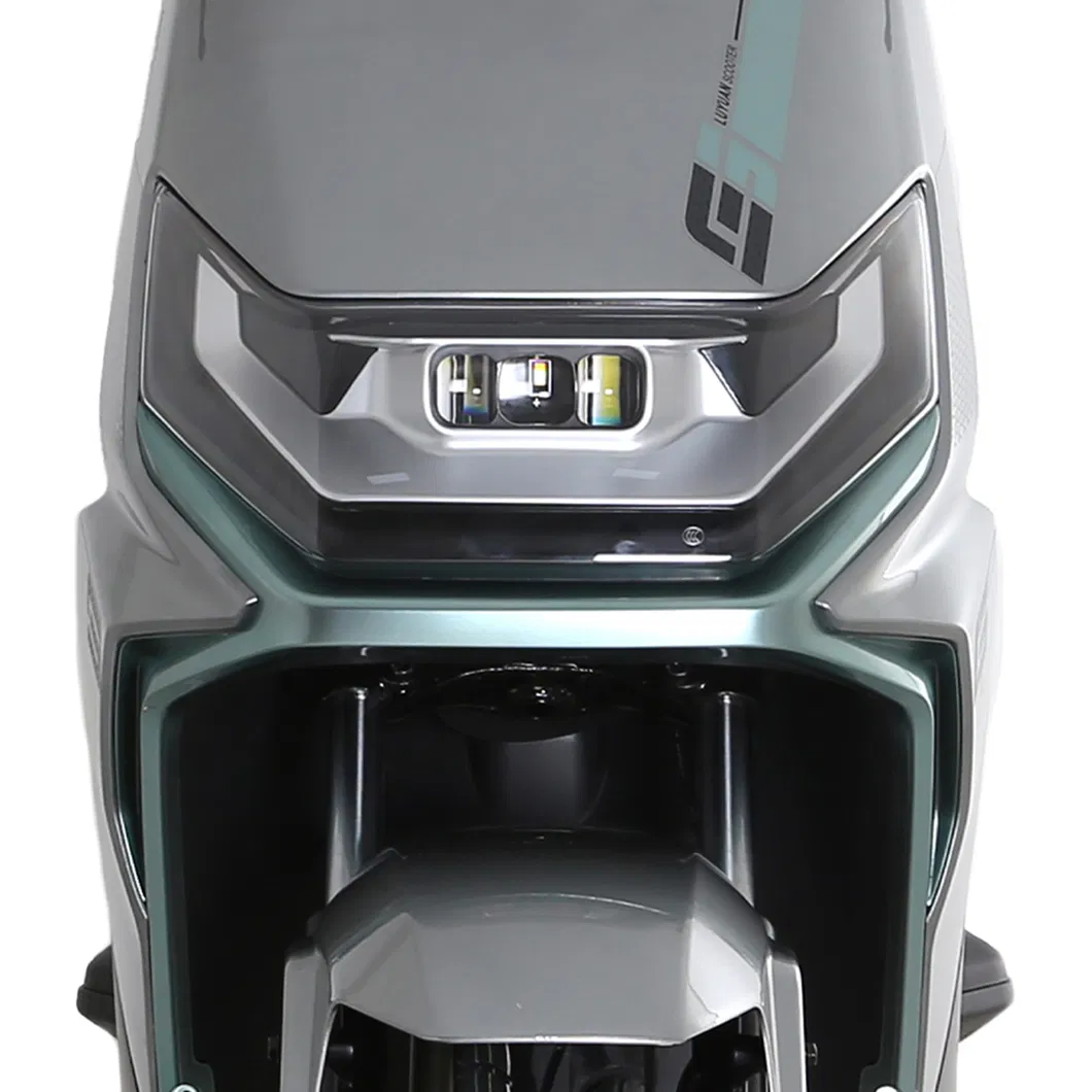 Detalhe MS31
