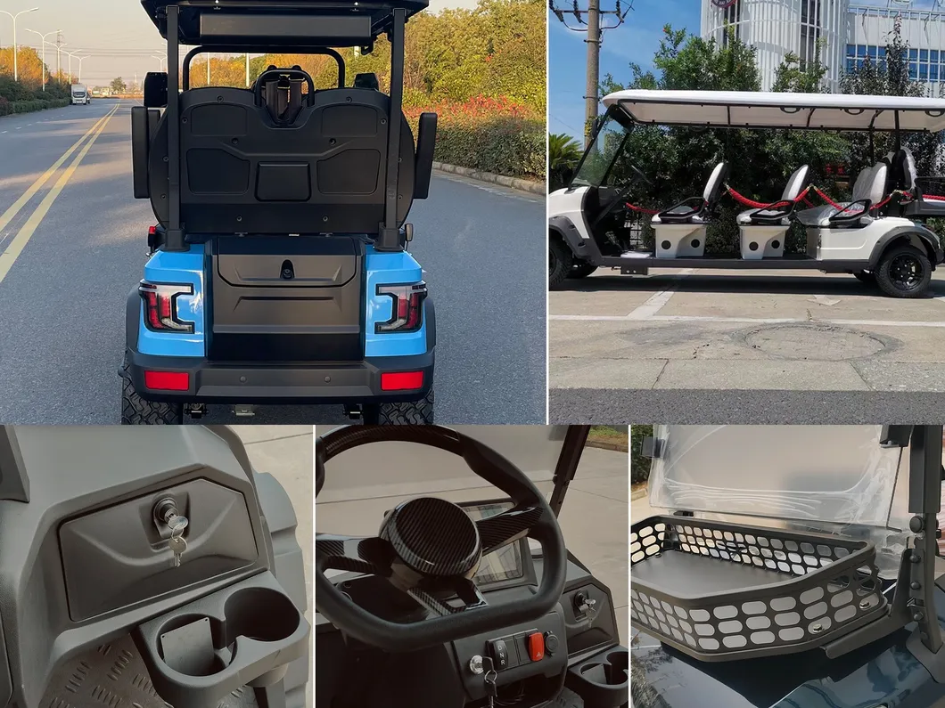 Carrinho de Golfe Elétrico 2