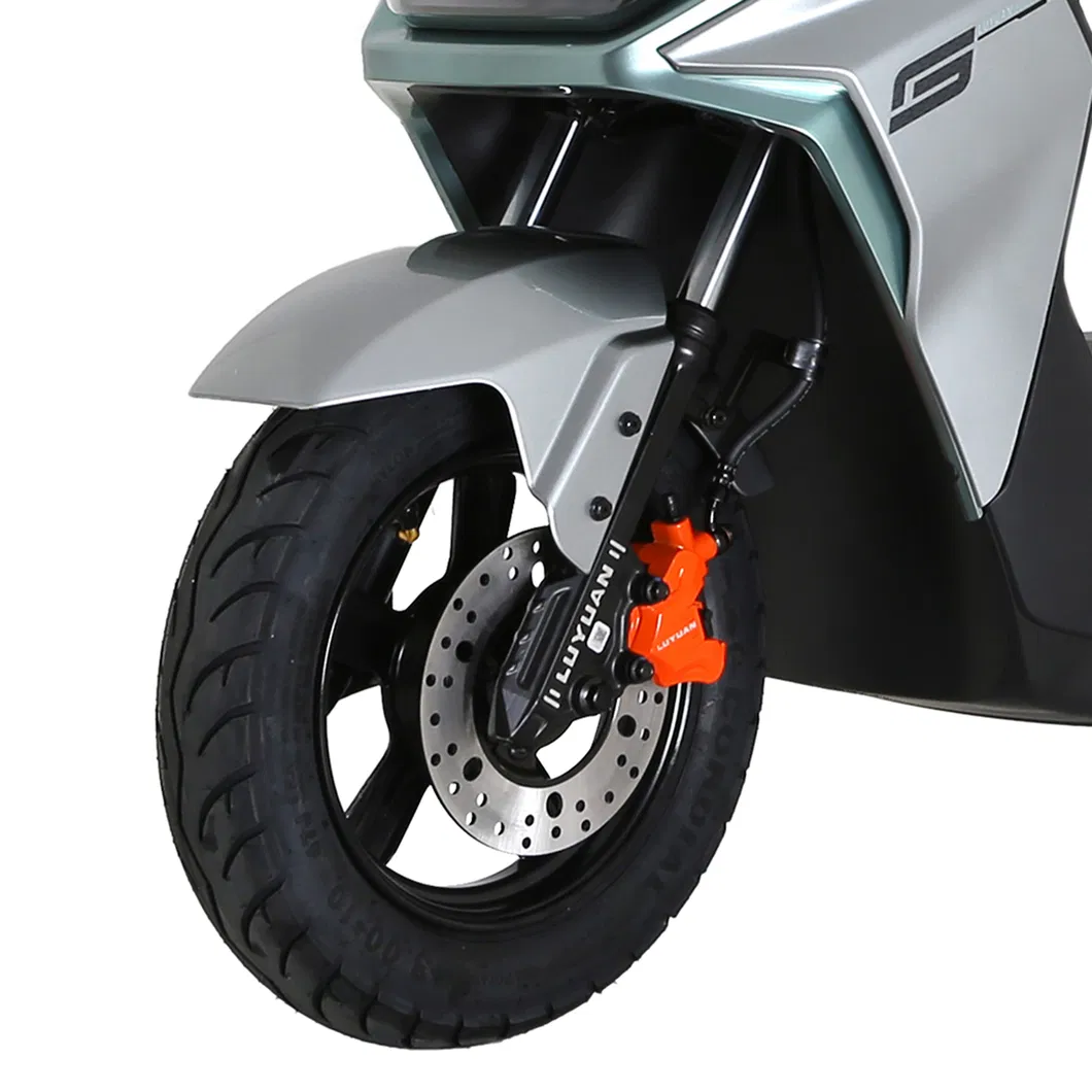 Detalhe MS31