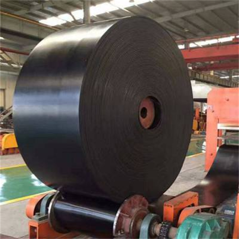 Nylon conveyor belt 01