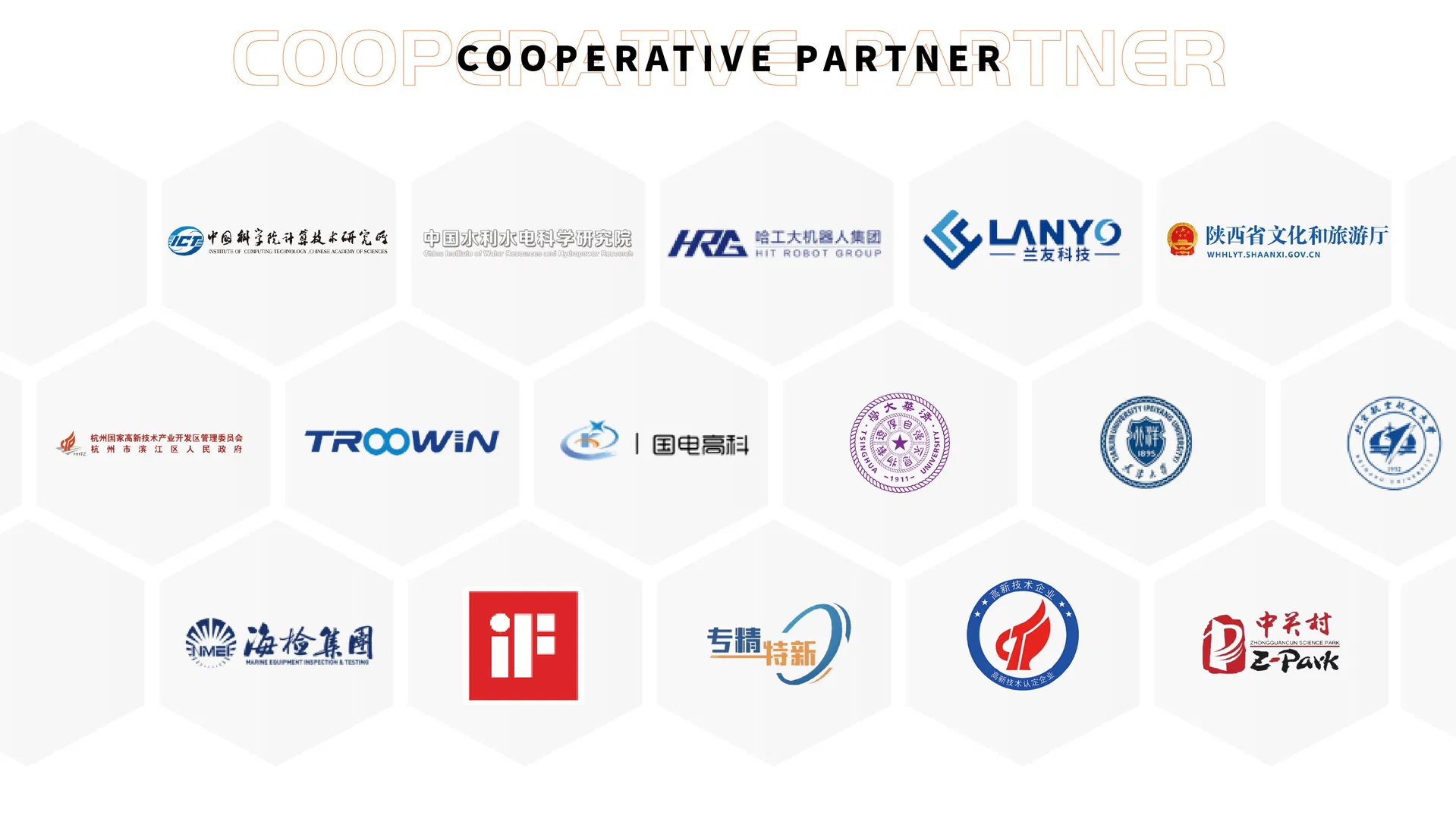 Cooperative Partners