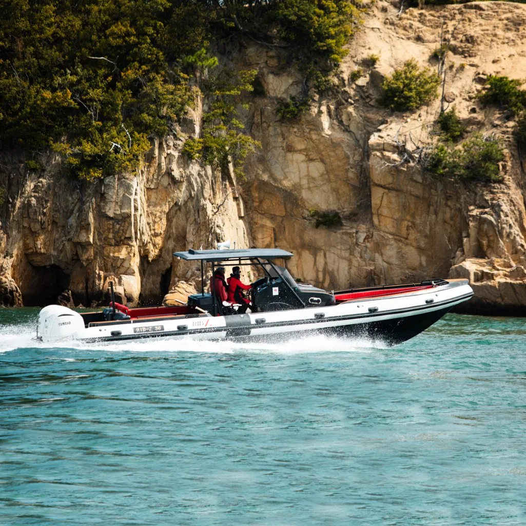 Aqualand 38feet 11.5m 22pax/Fiberglass/Aluminum/Rigid Inflatable/Passenger/Fishing/Rib/Yacht/Speed/Rescue/Patrol/Diving /Party/Pleasure/Aluminium /Motor Boat
