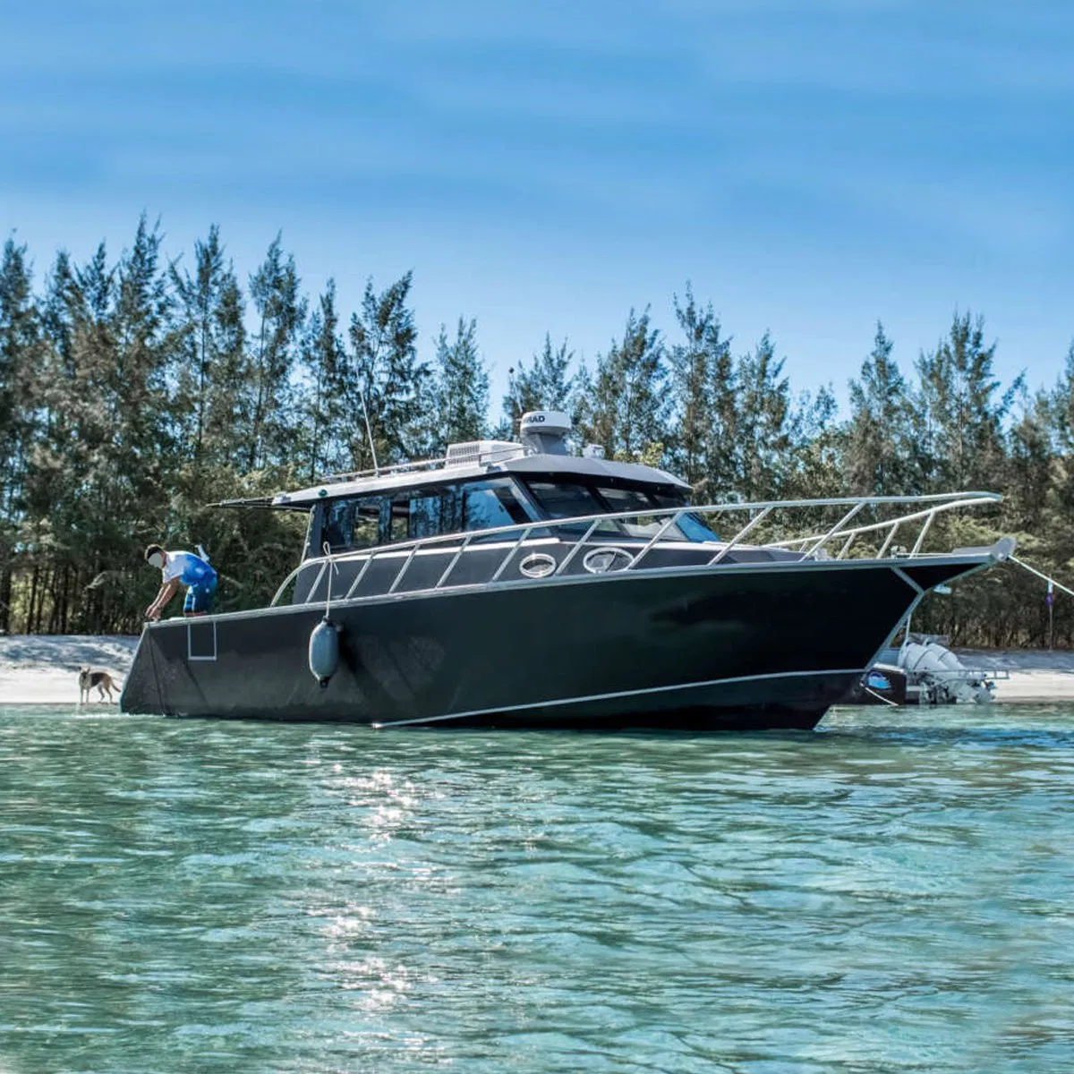 Aqualand 39feet 11.6m Aluminum/Aluminium/Rescue /Pilot/Patrol/Passenger/Ferry/Pleasure/Cabin Houseboat/Speed/Rib/Diving/Fishing/Motor/Party/Cruiser/Yacht /Boat