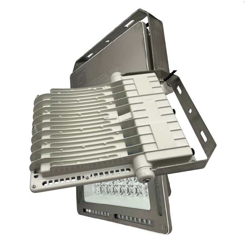 Industrial Marine Light 100W Fishing Boat Floodlight 220V Lighting 150lm/W