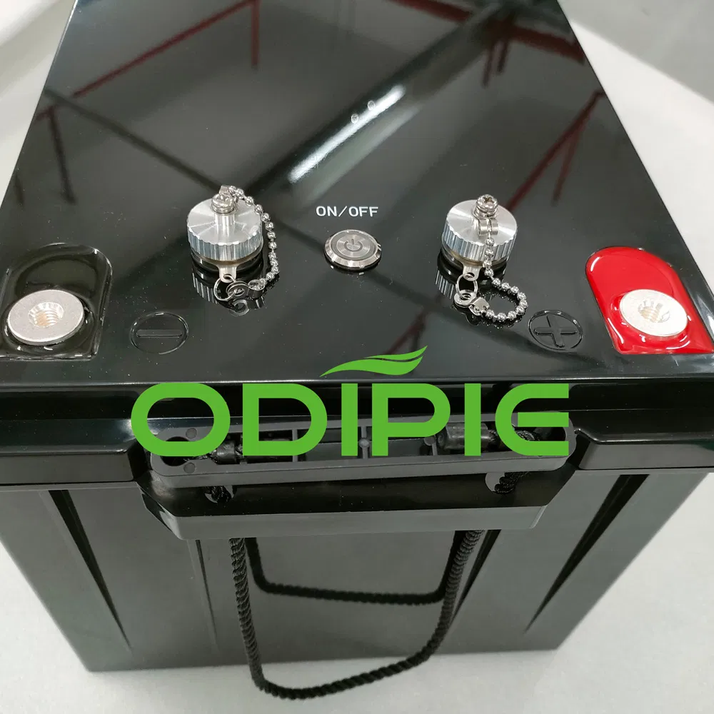 China Factory 24V 25.6V 300ah 314ah 8038wh Smart Marine Lithium LiFePO4 Battery Solar Storage Battery with Can/RS485 Compatible with Victron for Boat Yacht