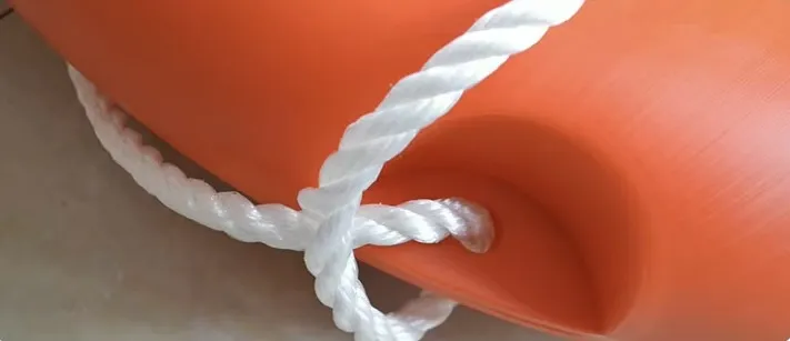 Lifebuoy Dimensions 1