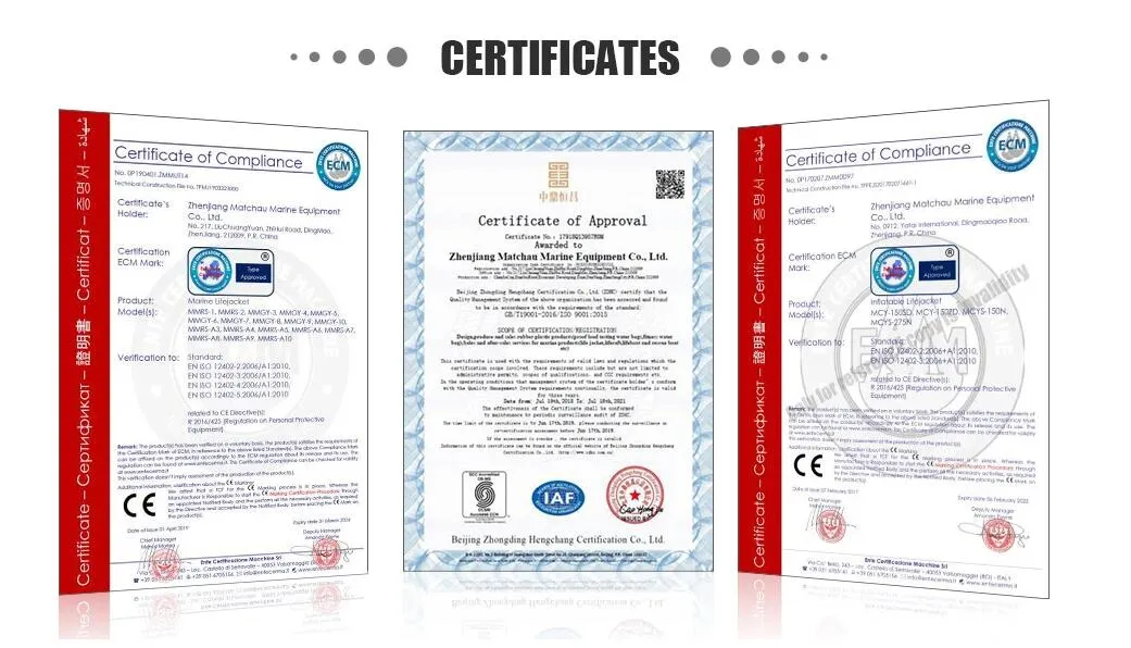 Inflatable Life Raft View 4