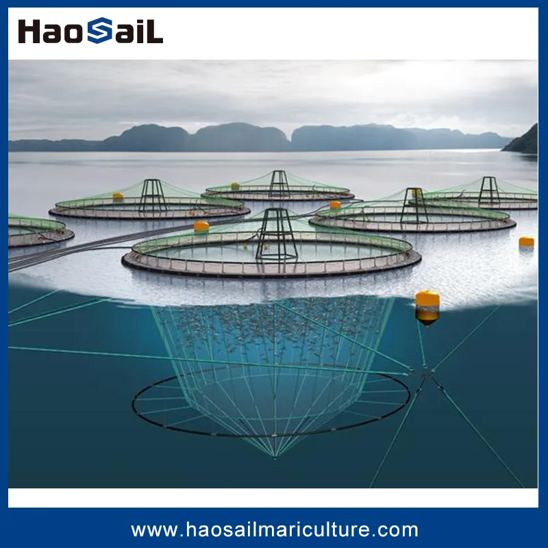 Satellite GPS Navigation