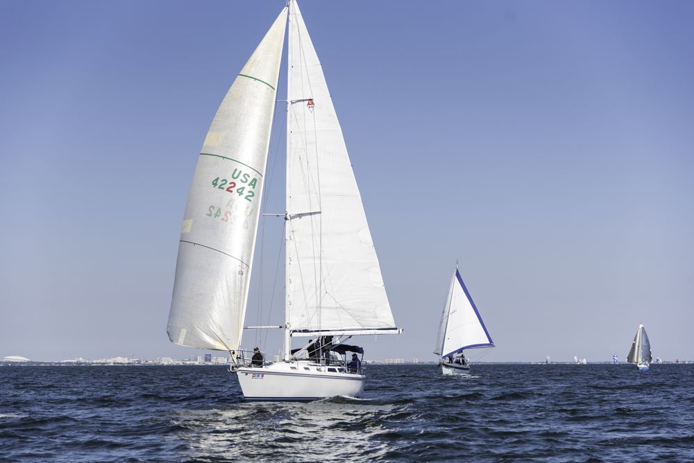 Top Quality Different Size and Shape Sailing Boat for Sale