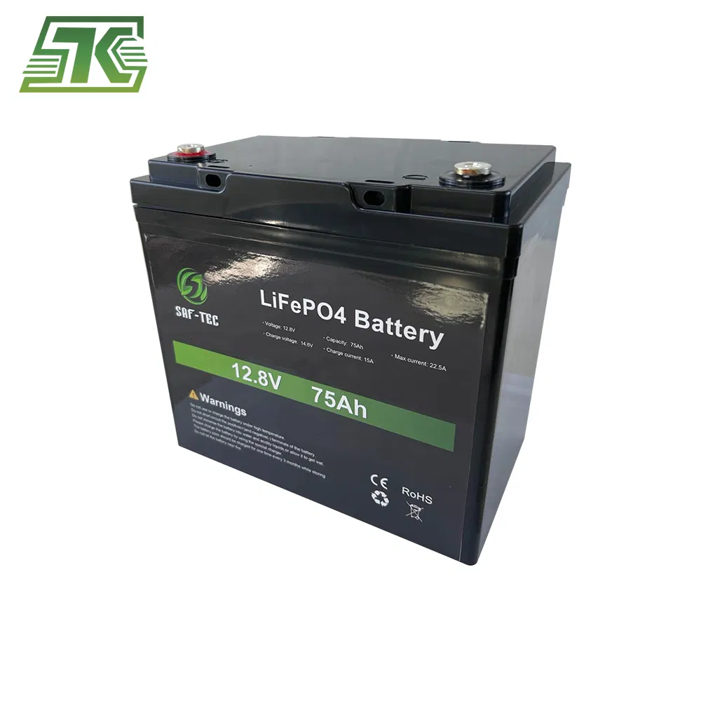 Saftec 48V 12V LiFePO4 Battery Pack Lithium Battery 24ah 25ah with BMS for Solar Energy System RV PV System Boat Marine Caravan