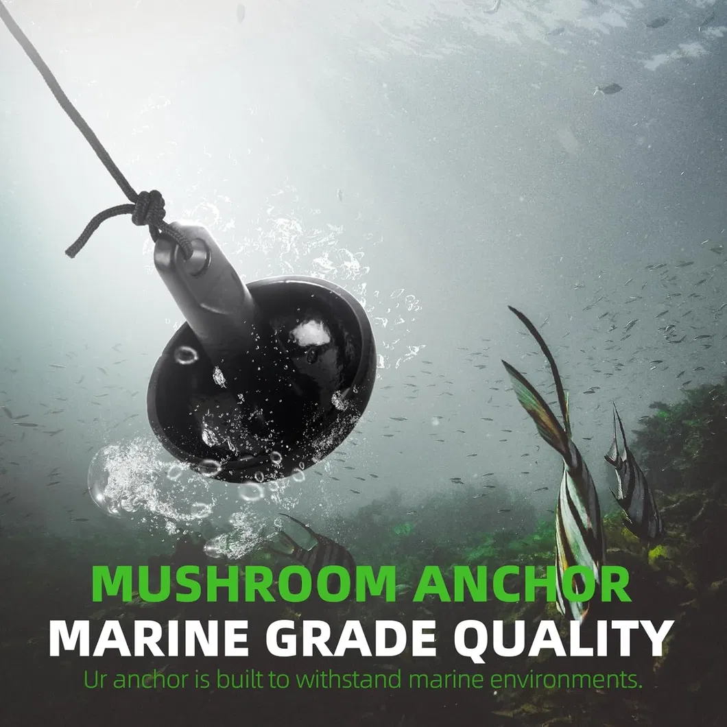 Professional Production