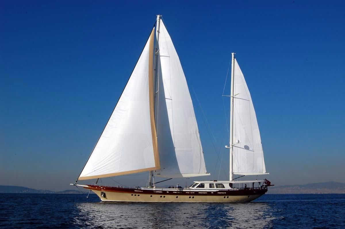 Top Quality Different Size and Shape Sailing Boat for Sale