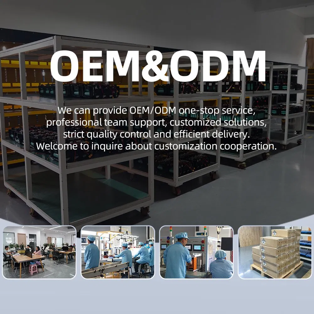 Reliable LiFePO4 Battery 48V 100ah Lithium Storage Battery for Home Applications, Solar System, Inverter, UPS, Solar Panel/Water-Pump/Boat/Golf-Cart/Invert