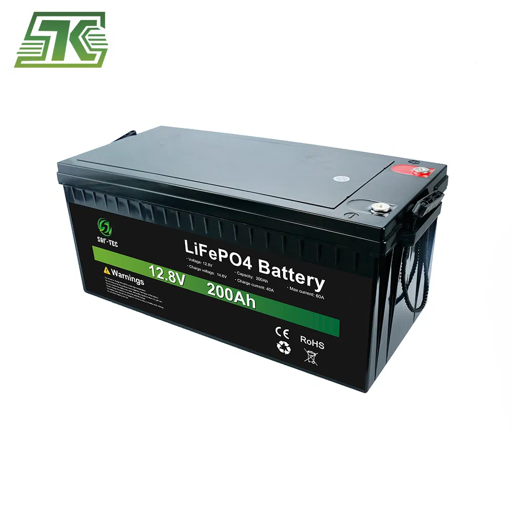 Saftec 48V 12V LiFePO4 Battery Pack Lithium Battery 24ah 25ah with BMS for Solar Energy System RV PV System Boat Marine Caravan