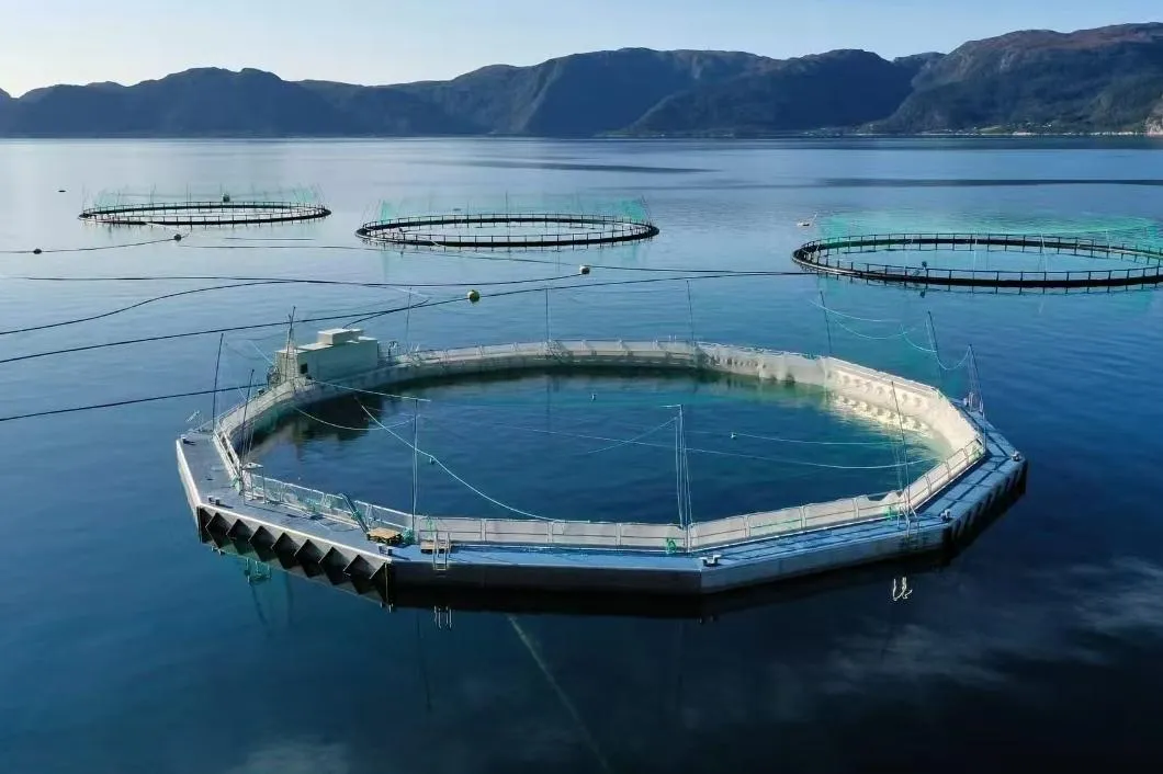 Satellite GPS Navigation System