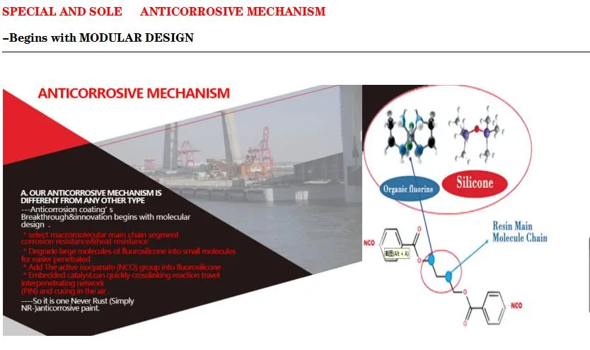 Anti Corrosion Case Study 1