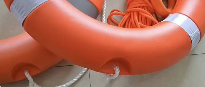 Lifebuoy Dimensions 2