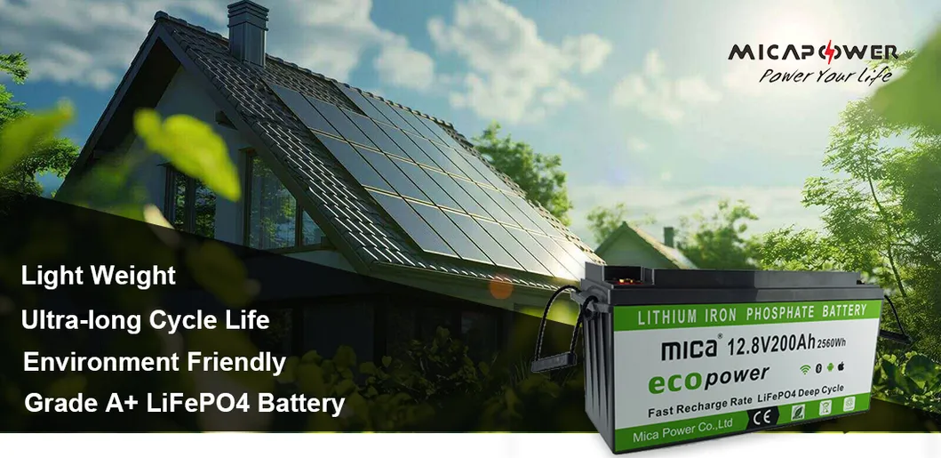 LiFePO4 Battery Pack