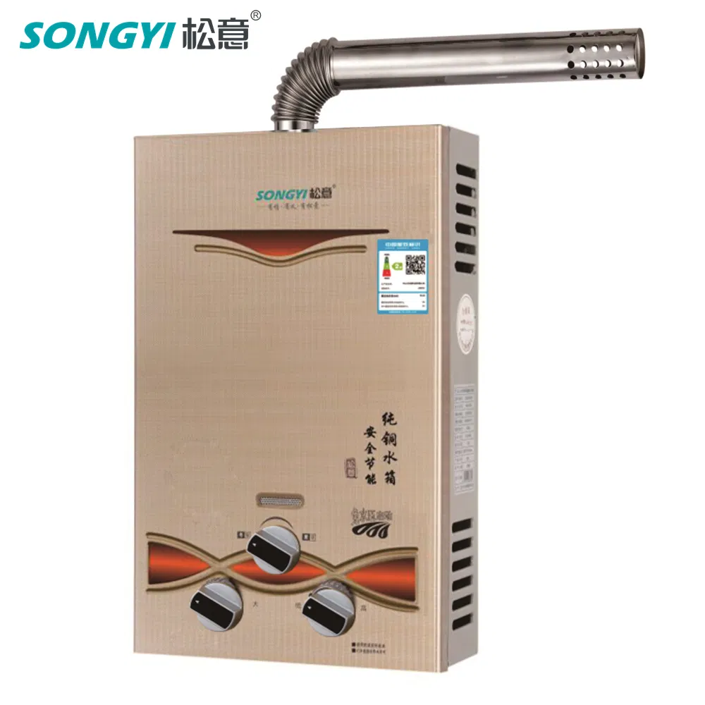 Residential Indoor Propane Gas Tankless Water Heater Eco-Friendly Forced Exhaust Water Heating Unit