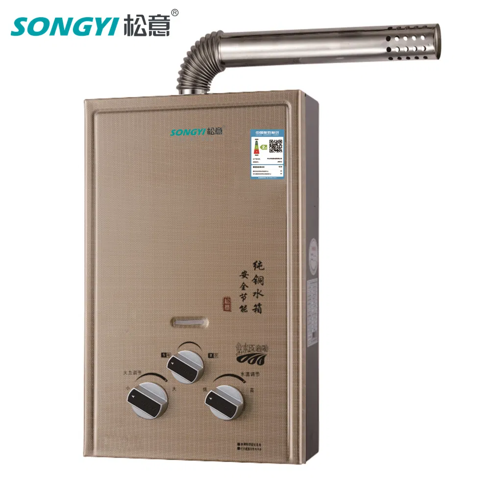 Residential Indoor Propane Gas Tankless Water Heater Eco-Friendly Forced Exhaust Water Heating Unit