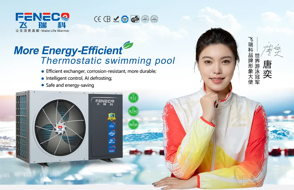 Swimming Pool Heat Pump