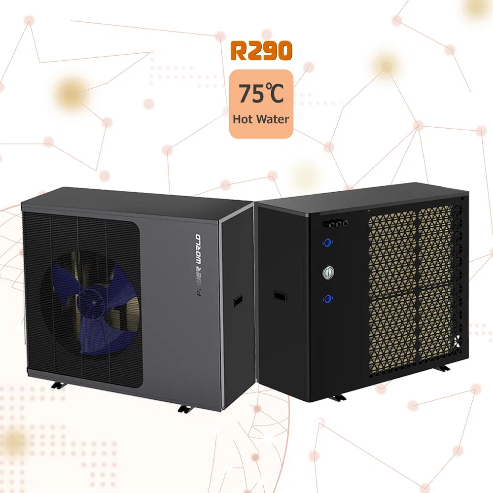 Multi-Function Easy Installation Evi DC Inverter R290 Propane Air Heat Pump with Good Service