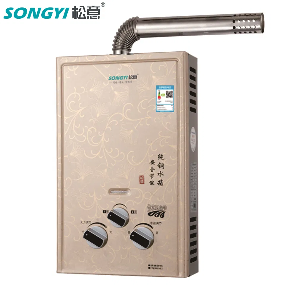 Residential Indoor Propane Gas Tankless Water Heater Eco-Friendly Forced Exhaust Water Heating Unit
