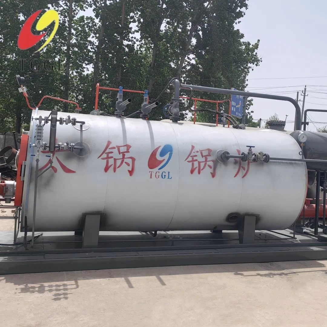 Gas Fired Hot Water Boiler Wns 0.7MW-14MW Heating Hotel Residential Complex