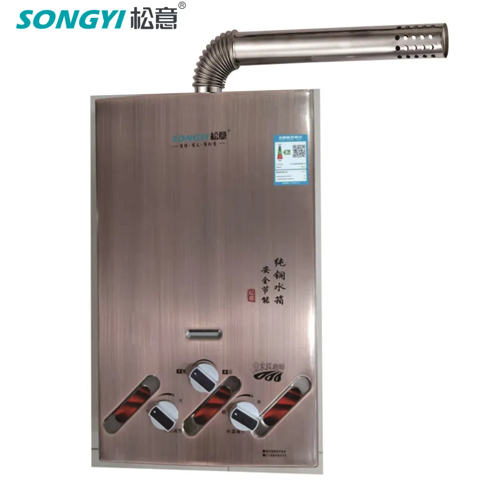 Residential Indoor Propane Gas Tankless Water Heater Eco-Friendly Forced Exhaust Water Heating Unit