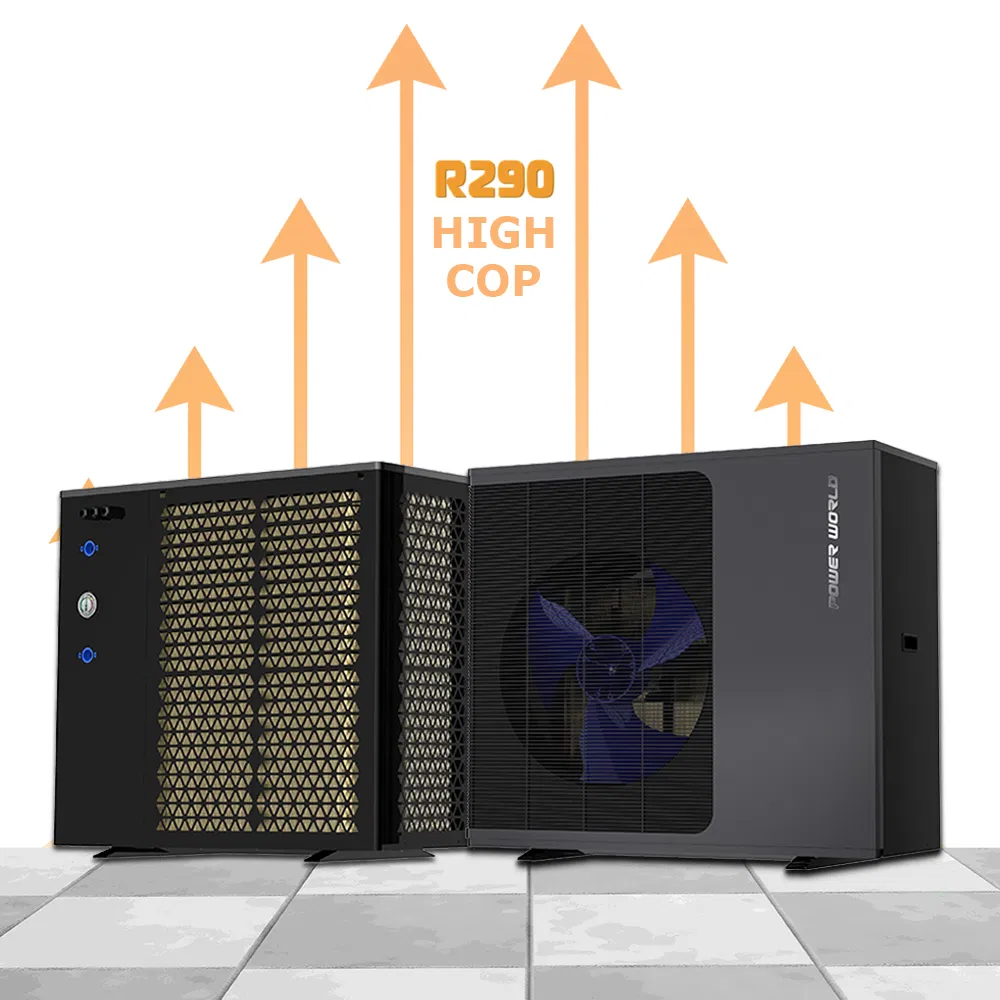 Smart Defrost Energy Saving Water Heater Propane R290 Heat Pump with Good Service