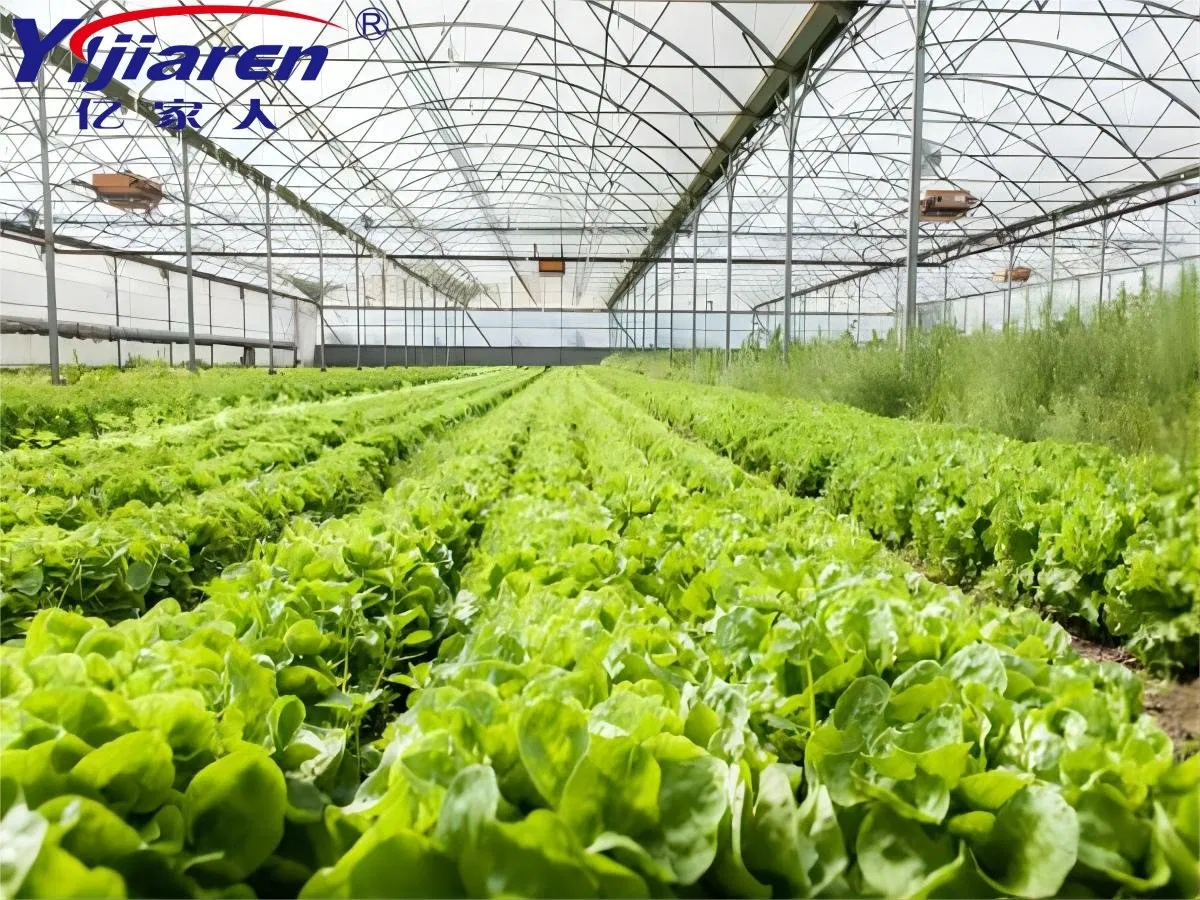 Commercial Energy-Saving Remote Control Air Source Air to Water Heat Pump for Aquatic Farms