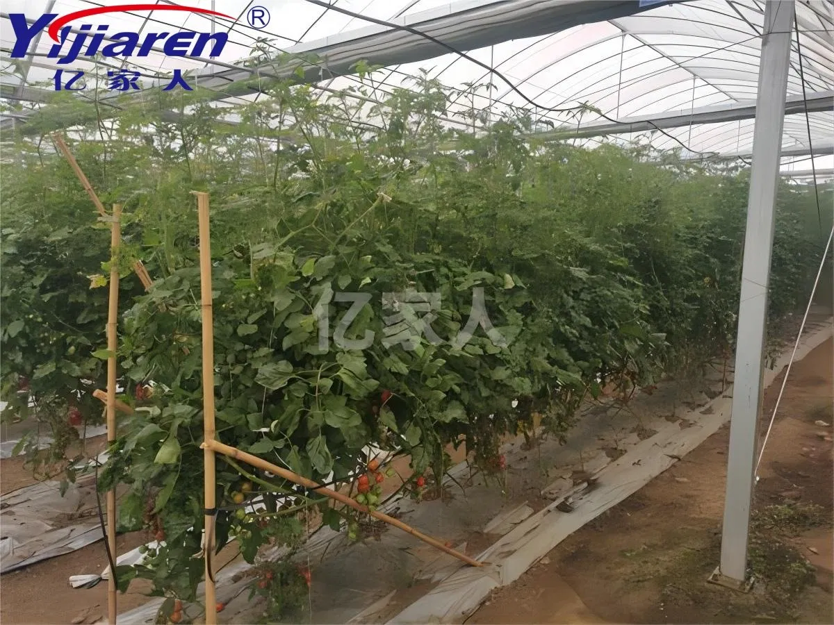 Commercial Energy-Saving Remote Control Air Source Air to Water Heat Pump for Aquatic Farms