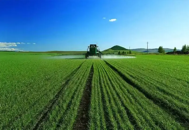 Pesticides