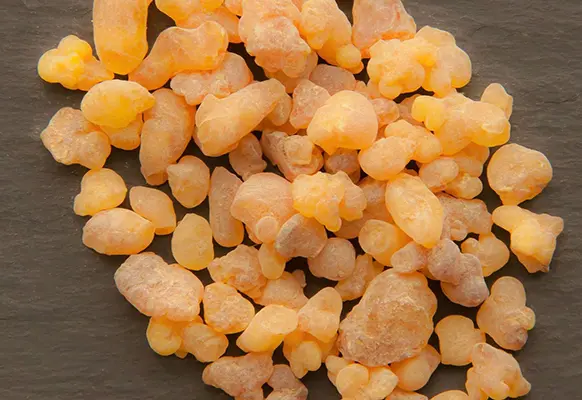 Synthesis and Casting of Resins