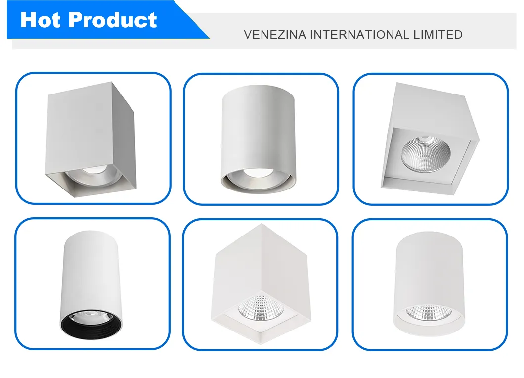 LED Downlight Feature 1
