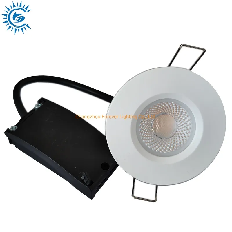 LED Ceiling Light