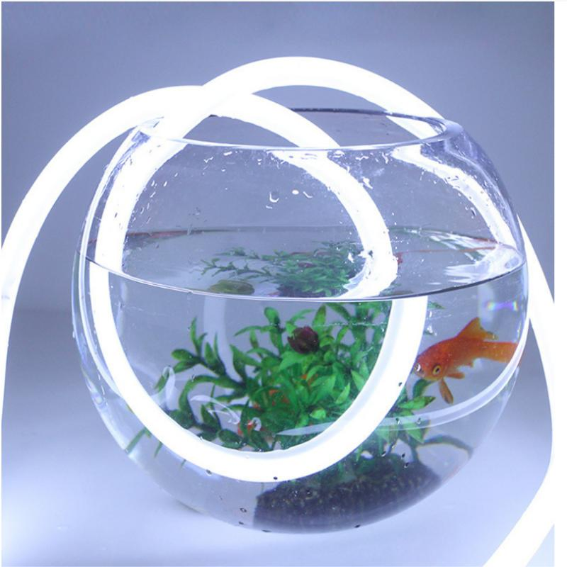 50meters Package DC12V Decorative Silicone LED Neon Lights Used Outdoor and Indoor Neon Signs