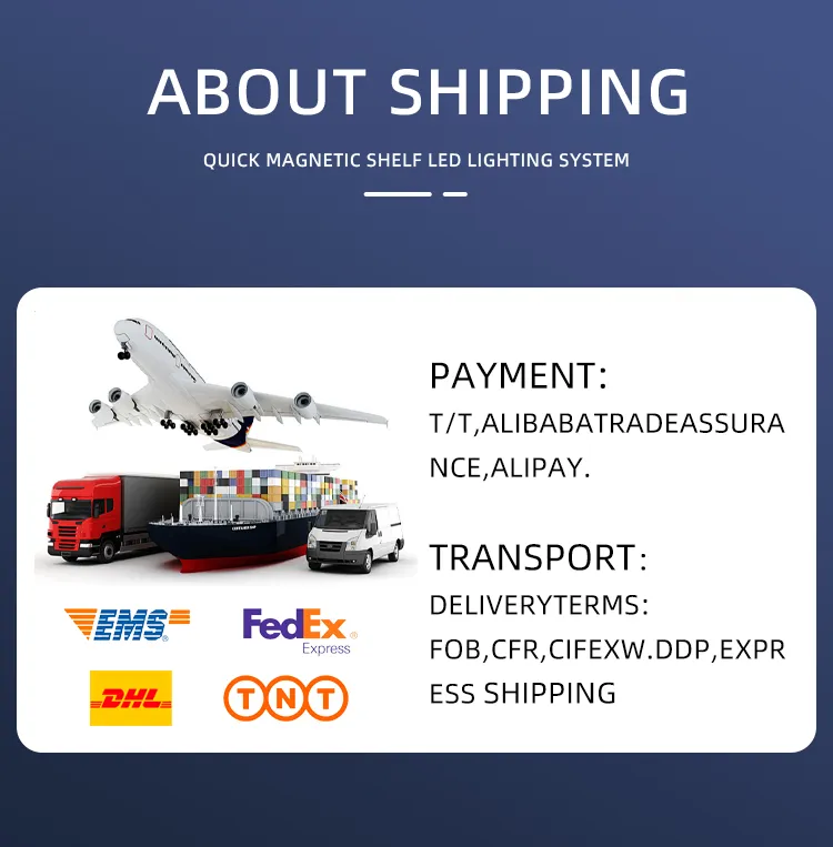 Shipping and Logistics