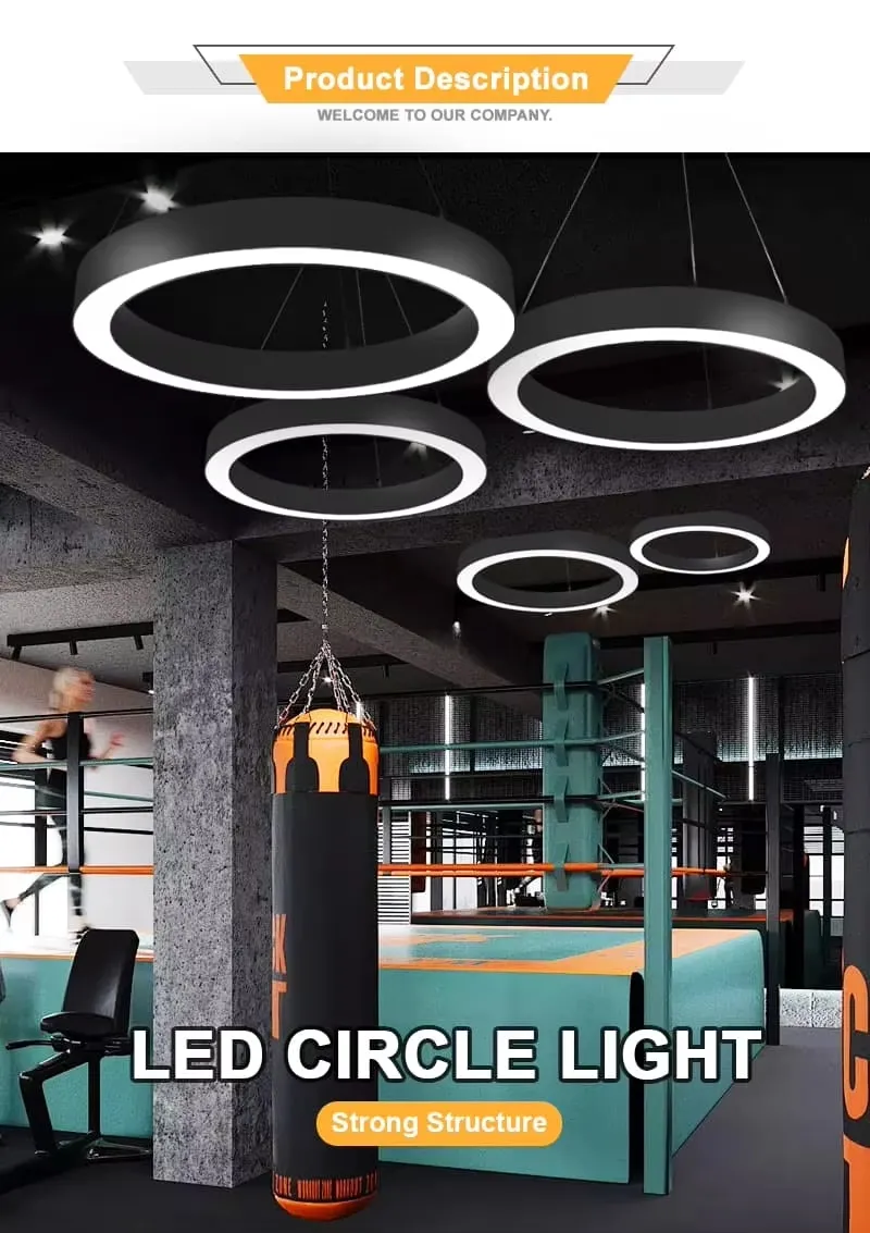 Modern LED Pendant Light 3