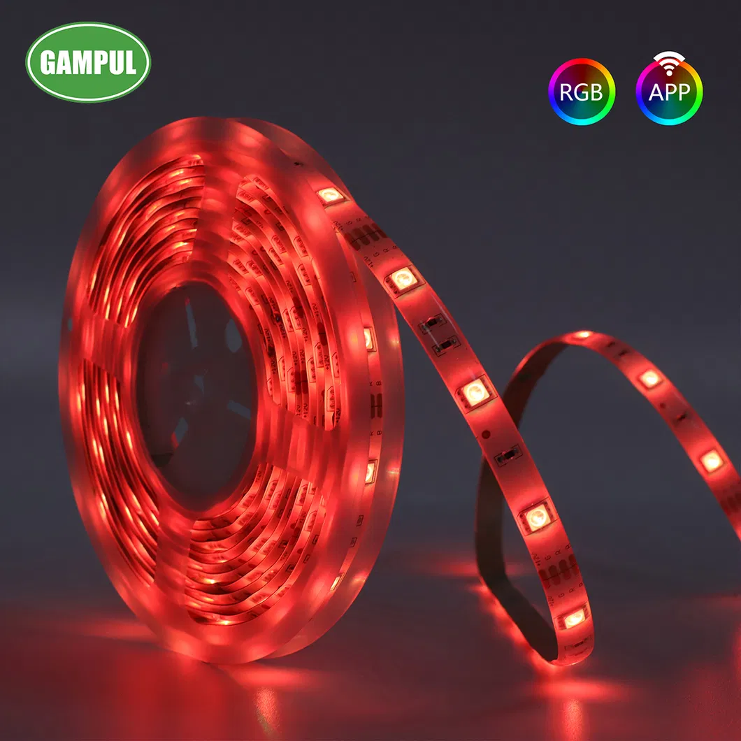 LED Strip Light Display 1